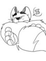 Sleepy Paws