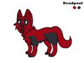 Bark Wilson (Furrypool)