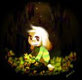asriel dremurr