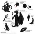 My reference sheets by Isarain