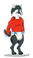 Scottish Husky Commission