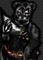 Grandmaster Queek Quick-killer, by AkidasWolf