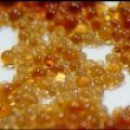 ISA - Resin 