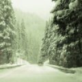ISA - Santiam Pass 