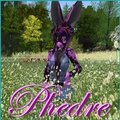 skin/shape mod for kani bunny by pheonixphyre