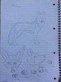More random sketches