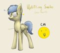 Uplifting Smiles