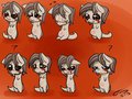 Wittle Digi Series