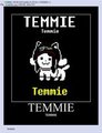 TeM RokK (music)