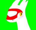 birthday lati