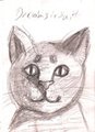 Drawing in suit