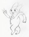 1920s Zangoose