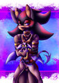 Pet for Shadow