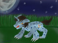 Moon light by ViviLune
