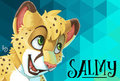Salmy MFF badge