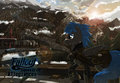 Allegiances Cover