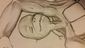 Donnie WIP