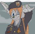 *C*_Jayke