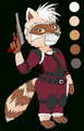 Pistol Racoon