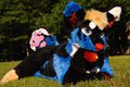 Fursuit Friday by WinterSkywere