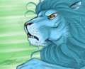 Lion Oli - the chase.