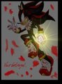 Your betrayal