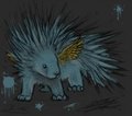 Real Porcupine Oli