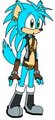 Samuke the Porcupine