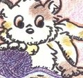 A Kitten and some Yarn