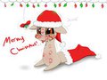 Holidoodle #1