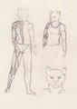 Eaia Khir - Character Concept Sheet