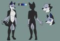 [COM] Jake Ref