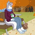 Autumn Stroll