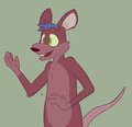 Some random rat