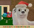 Here Comes Santa Bear 2015