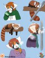 [Patreon] Nov. Exam #2