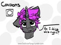 Ponies And Condoms