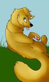December Raffle Winners by WindblownRebel