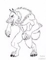 Werewolf ink sketch