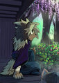 Porcupine in the garden by Jimmu