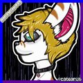 Incognito (Badge)