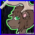 Bear (Badge)