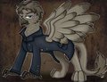 Jack Hawkness by ComissionHunterBunny