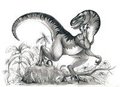 A chance encounter by TheRedRaptor