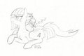 Limestone Snuggles by Hericks
