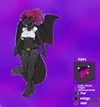 Ref Sheet for~Selyne