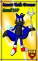 Invert Profile Card