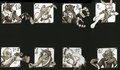 Animal Movements by Soro