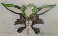 Yogurt Headshot