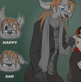 *C*_Jayke and his emotions